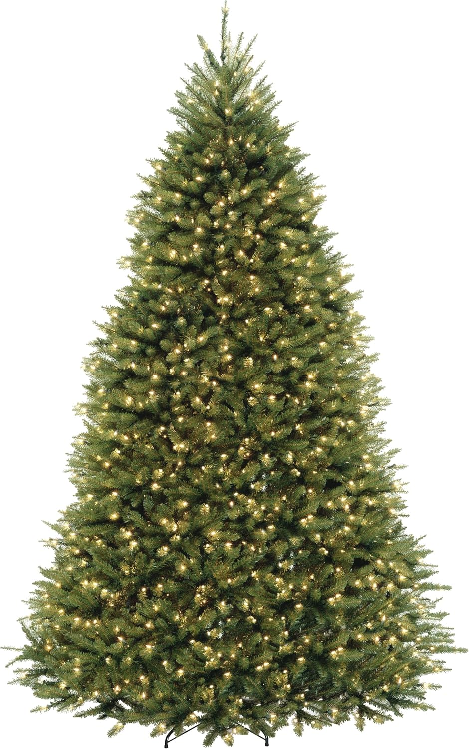 Best 6 Christmas Trees to Buy 2024